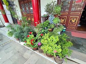 KUNMING - Temple YUANTONG - 16